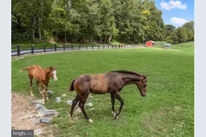 10901 Moxley Road, Damascus, MD 20872 - Photo 115