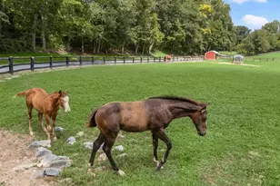 10901 Moxley Rd, Damascus, MD 20872 - Photo 115