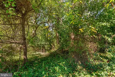 14208 Lewisdale Road, Clarksburg, MD 20871 - Photo 5