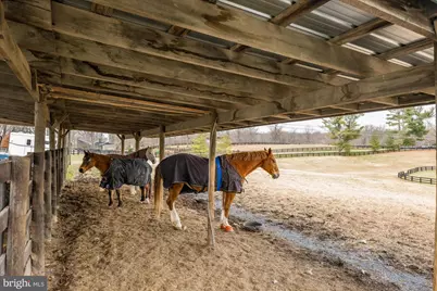 11512 Morning Ride Drive, Potomac, MD 20854 - Photo 3