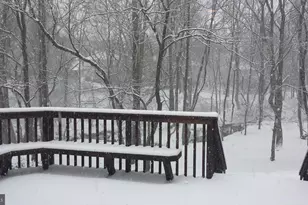 9825 Korman Ct, Potomac, MD 20854 - Photo 13