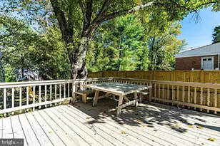 4505 Conifer Ln, Bethesda, MD 20814 - Photo 31