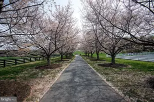 16704 Thurston Rd, Dickerson, MD 20842 - Photo 95