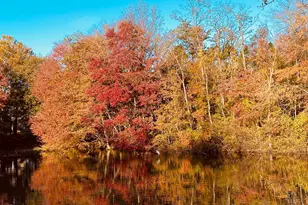 104 Bucksfield Rd, Gaithersburg, MD 20878 - Photo 35