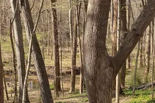 11800 Glen Mill Rd, Potomac, MD 20854 - Photo 1