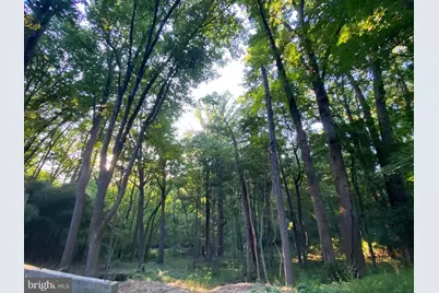 11800 Glen Mill Road, Potomac, MD 20854 - Photo 33