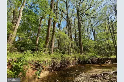 11800 Glen Mill Road, Potomac, MD 20854 - Photo 19