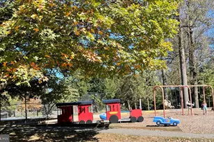 708 Hankin St, Silver Spring, MD 20910 - Photo 37