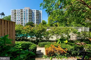 8315 Brook Ln, Bethesda, MD 20814 - Photo 17