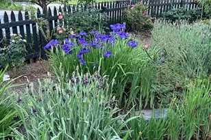 6101 Swansea St, Bethesda, MD 20817 - Photo 29