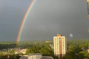 930 Rose Ave, Rockville, MD 20852 - Photo 31