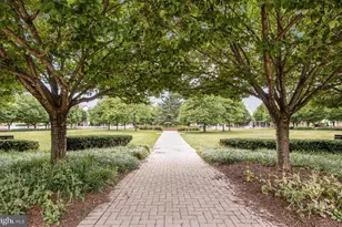 913 Pleasant Dr, Rockville, MD 20850 - Photo 43