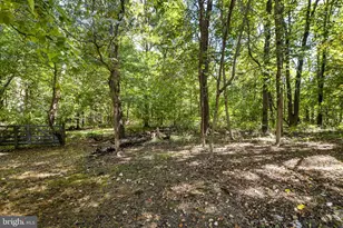 16112 Barnesville Rd, Boyds, MD 20841 - Photo 81