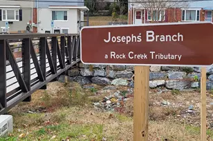 3313 Moline Rd, Silver Spring, MD 20902 - Photo 57