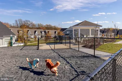 13240 Petrel Street #5203, Clarksburg, MD 20871 - Photo 47