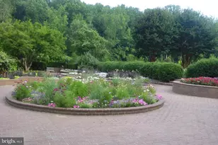 3808 Delano St, Silver Spring, MD 20902 - Photo 77