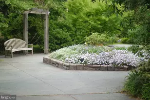 3808 Delano St, Silver Spring, MD 20902 - Photo 73