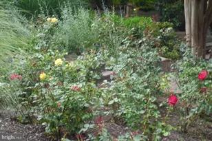 3808 Delano St, Silver Spring, MD 20902 - Photo 51