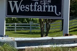 12339 Sandy Point Ct, Silver Spring, MD 20904 - Photo 19