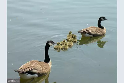 19115 Roman Way, Montgomery Village, MD 20886 - Photo 63