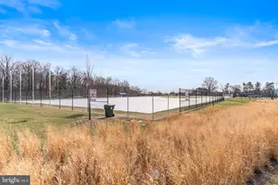 8209 Flower Ave, Takoma Park, MD 20912 - Photo 79