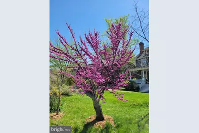 5612 Oak Place, Bethesda, MD 20817 - Photo 55