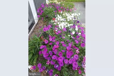 5612 Oak Place, Bethesda, MD 20817 - Photo 49