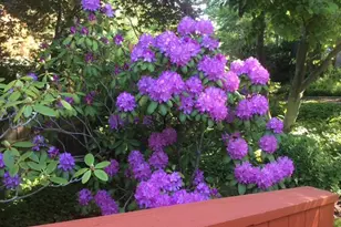 19225 Dimona Dr, Brookeville, MD 20833 - Photo 39