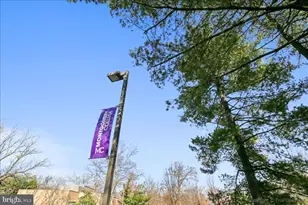 116 Lee Ave, Takoma Park, MD 20912 - Photo 87