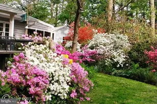 10409 Gary Rd, Potomac, MD 20854 - Photo 13