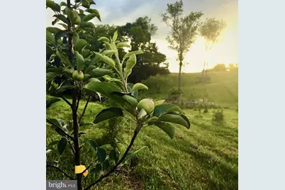 7115 Damascus Road, Gaithersburg, MD 20882 - Photo 7