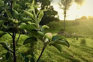 7115 Damascus Rd, Gaithersburg, MD 20882 - Photo 7