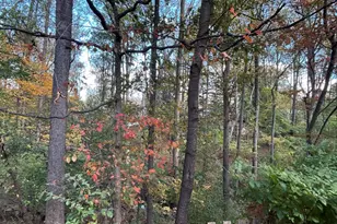 12255 Tildenwood Dr, Rockville, MD 20852 - Photo 5