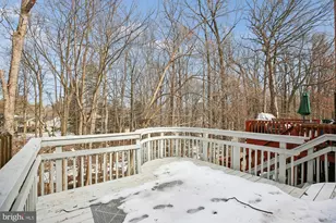 12255 Tildenwood Dr, Rockville, MD 20852 - Photo 43