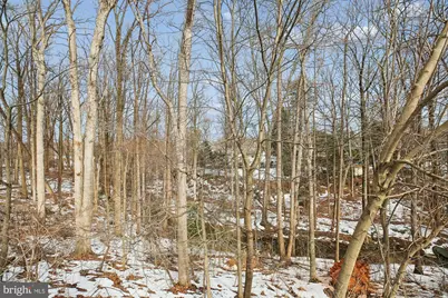 12255 Tildenwood Drive, Rockville, MD 20852 - Photo 41