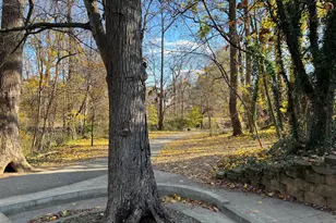 8009 Garland Ave, Takoma Park, MD 20912 - Photo 17