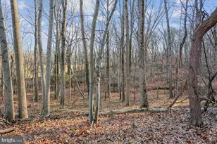 22820 Shiloh Church Rd, Boyds, MD 20841 - Photo 39