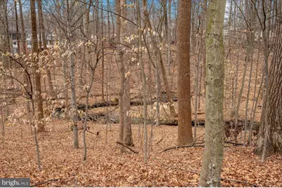 14 S Duke Street, Rockville, MD 20850 - Photo 61