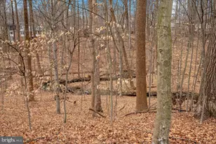 14 S Duke St, Rockville, MD 20850 - Photo 61