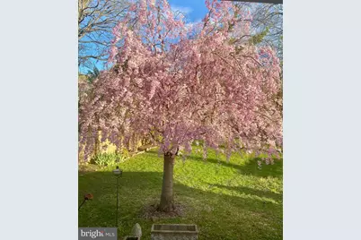 738 Dennis Avenue, Silver Spring, MD 20901 - Photo 31