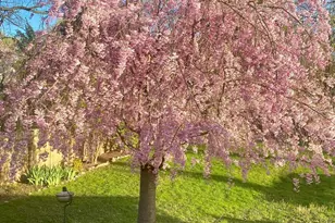 738 Dennis Ave, Silver Spring, MD 20901 - Photo 31