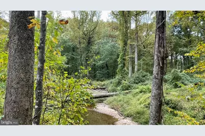 10280 Arizona Circle #63, Bethesda, MD 20817 - Photo 51