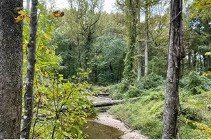 10280 Arizona Cir, Bethesda, MD 20817 - Photo 61