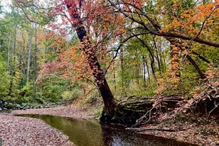 10280 Arizona Cir, Bethesda, MD 20817 - Photo 63