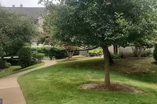 10864 Bucknell Dr, Silver Spring, MD 20902 - Photo 15