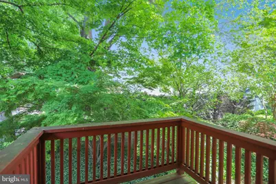 7903 Curtis Street, Chevy Chase, MD 20815 - Photo 45