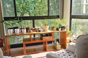 15100 Interlachen Dr, Silver Spring, MD 20906 - Photo 17