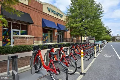 313 Potter Lane, Rockville, MD 20850 - Photo 87