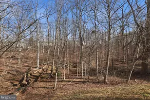 19111 Highstream Dr, Germantown, MD 20874 - Photo 35