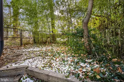 5521 Charles Street, Bethesda, MD 20814 - Photo 13